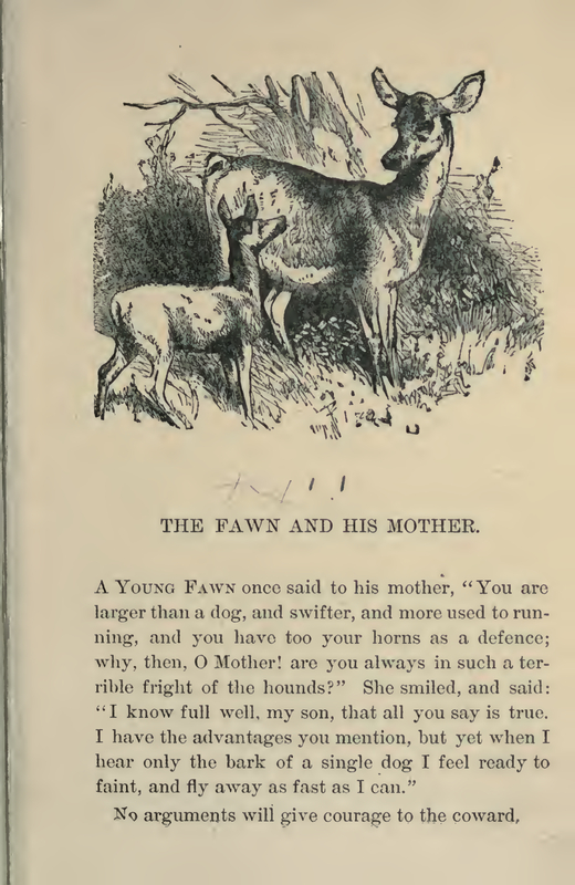The Fawn and His Mother