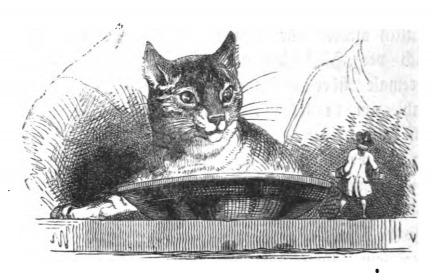 [A cat on Brobdingnag sees Gulliver]