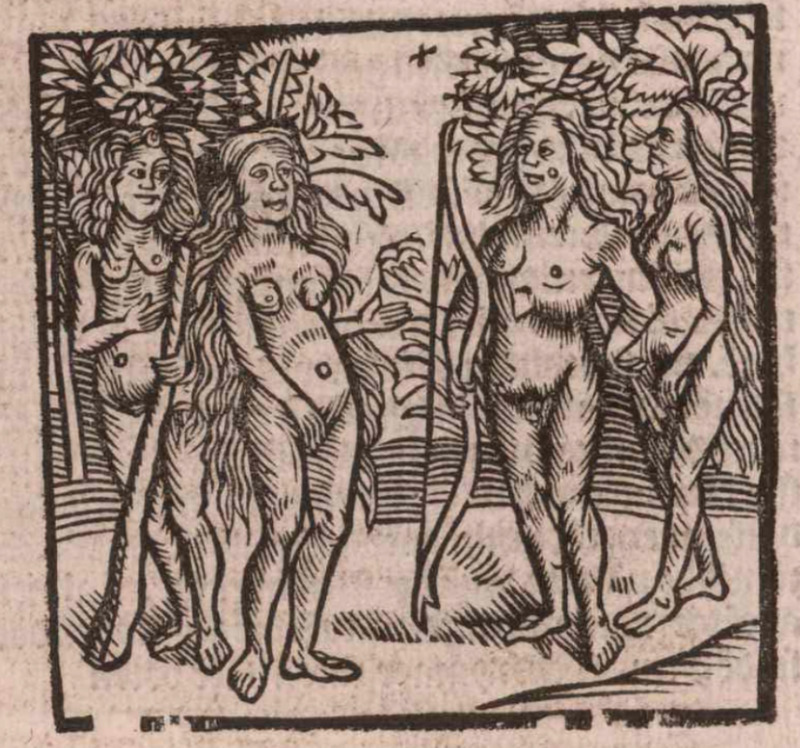 [Indigenous Brazilians stand in a forest, some holding weapons]
