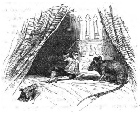 [A giant rat attacks Gulliver and he defends himself with his sword on Brobdingnag]