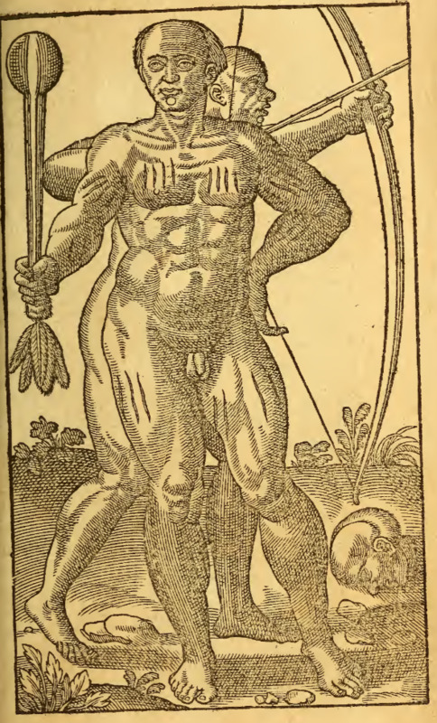 [Two Tupinambá men with weapons]