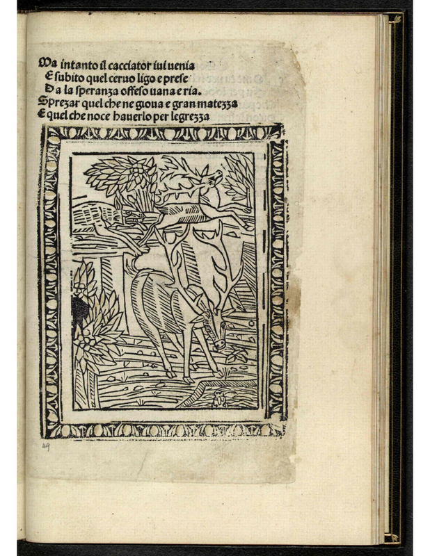 [The Wolf Hunting the Deer]