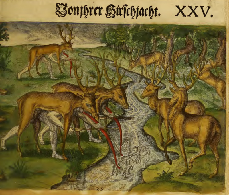 Von ihrer Hirschlacht. XXV.