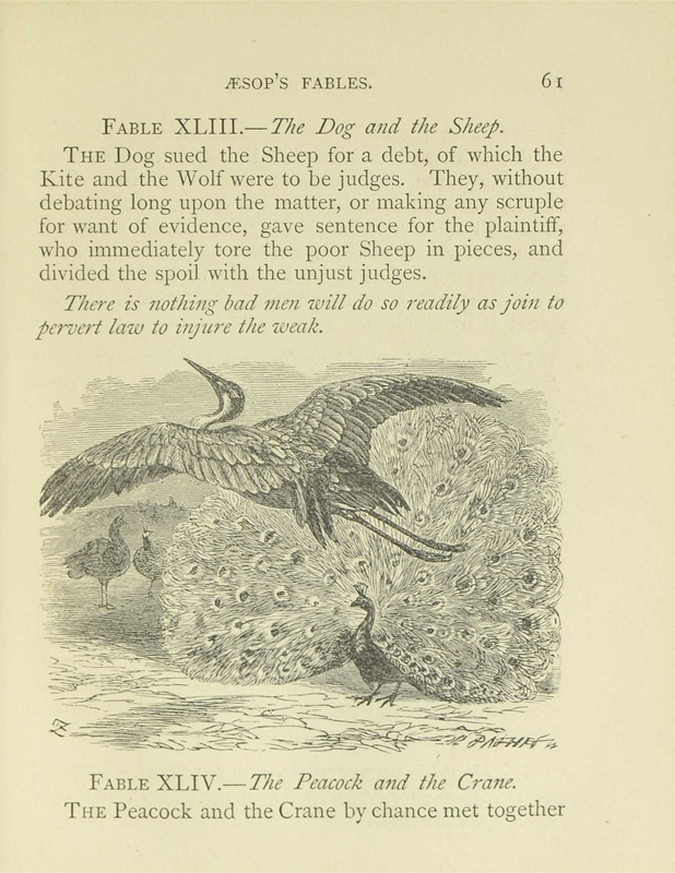 The Peacock and the Crane