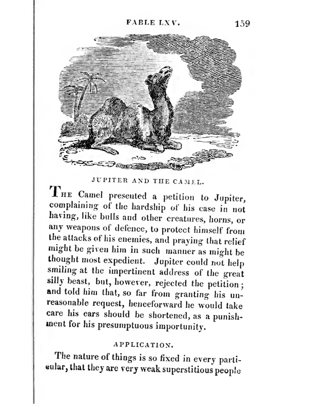 Jupiter and the Camel