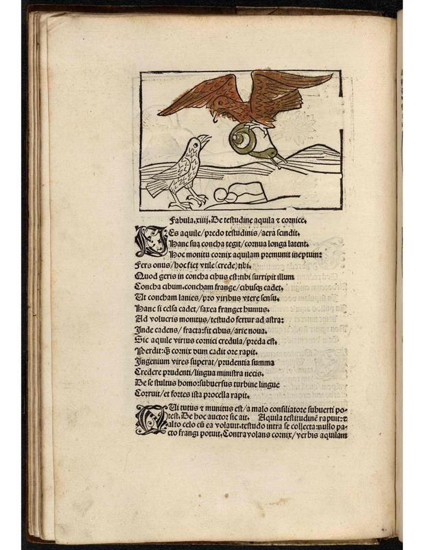 Fabula xiiij. Be testudine aquila r cornice
