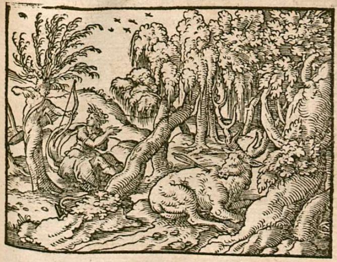 Cyparissus der Knab in einen Baum