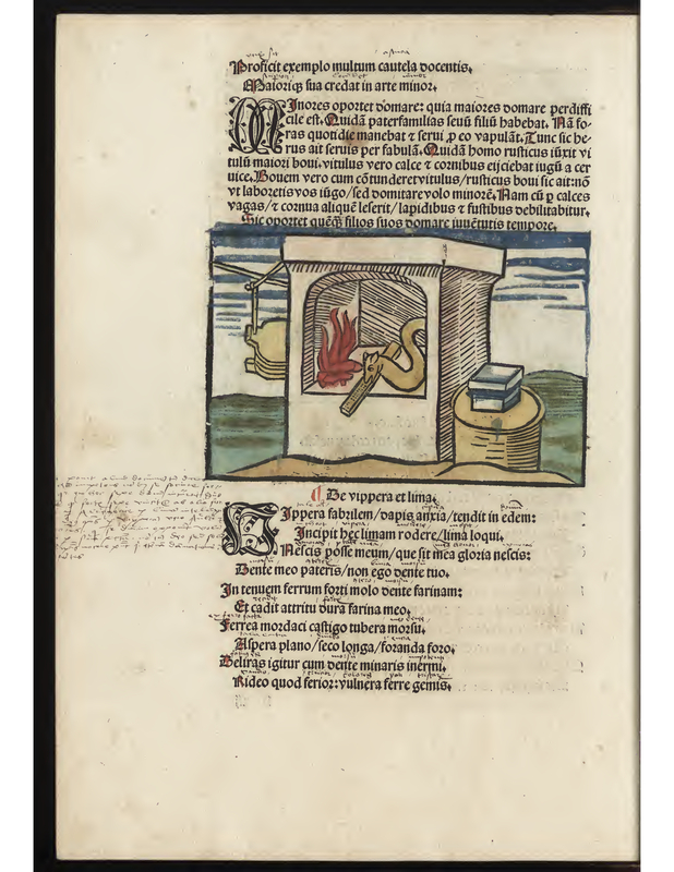 Le vipera et lima