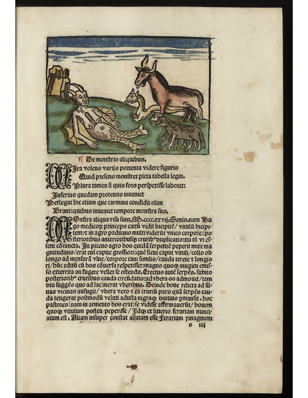 De monrtris aliquibus