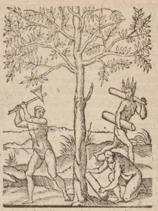 [Indigenous Brazilian men chop down a tree]