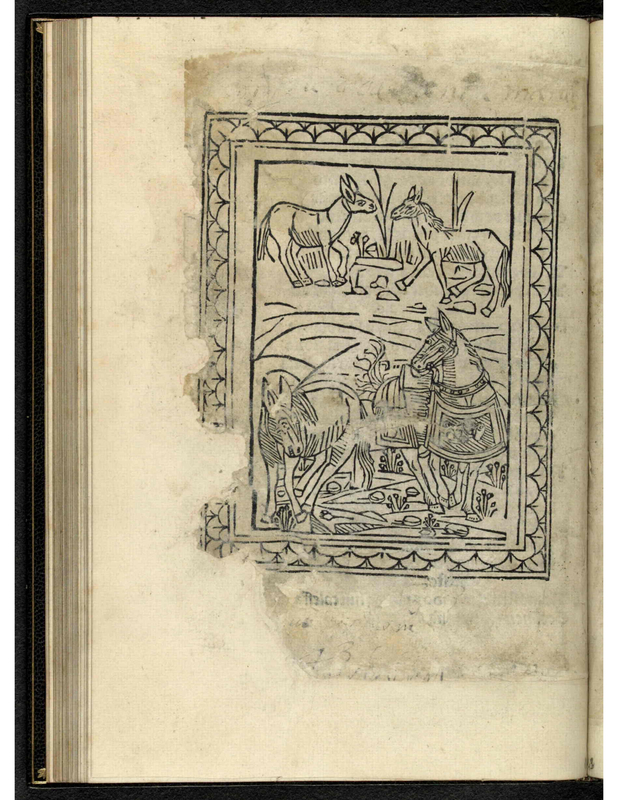 [The Armored Horse and the Donkey]