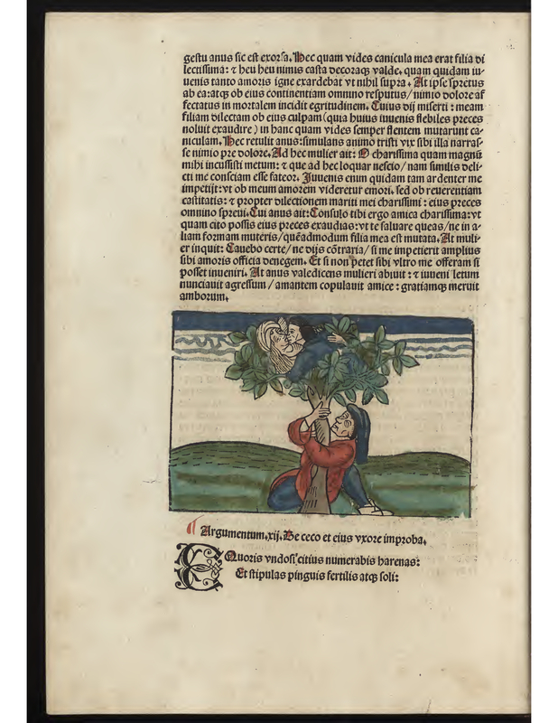 Argumentum.xii.De ceco et eius vxoze impzoba