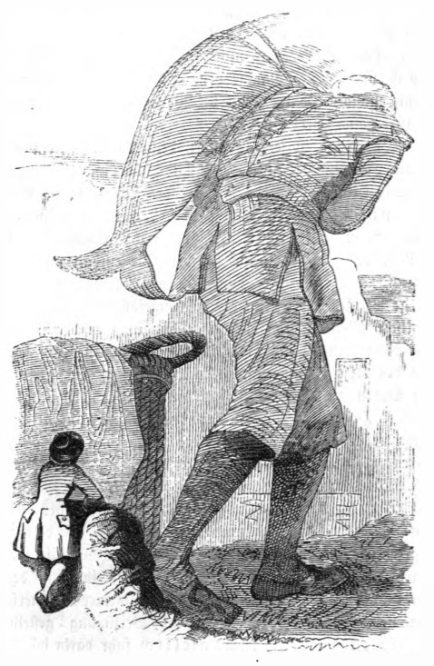 [A giant carries a fish while Gulliver watches]