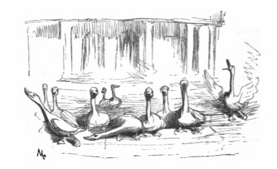 [A flock of geese]
