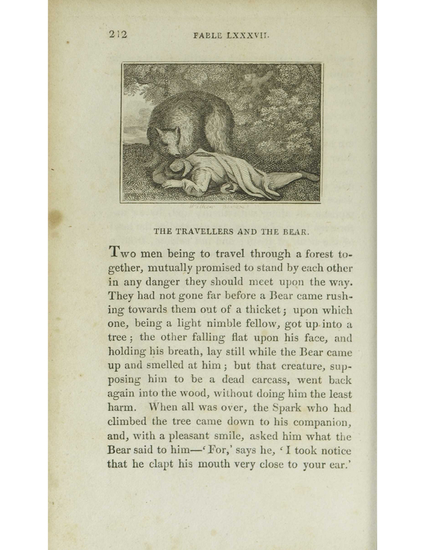 The Travellers and the Bear