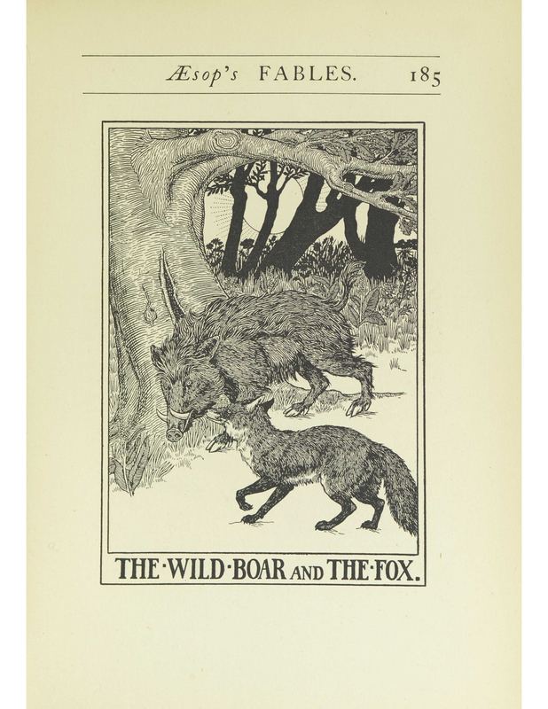 The Wild Boar and the Fox