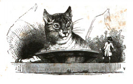 [The family cat of the farmer giant spots Gulliver on Brobdingnag]