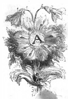 [Gulliver sits on the leaves of a flower in Brobdingnag]