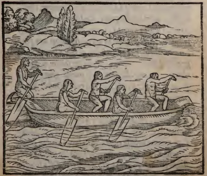 Modo di nauigare nel Mare di Tramontana.