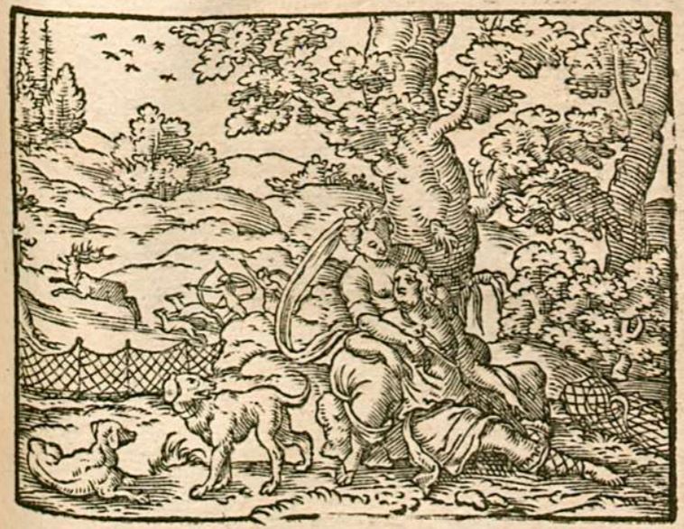 Venus und Adonis