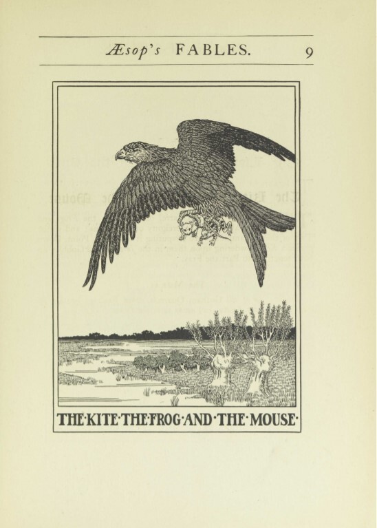 The Kite, the Frog, and the Mouse