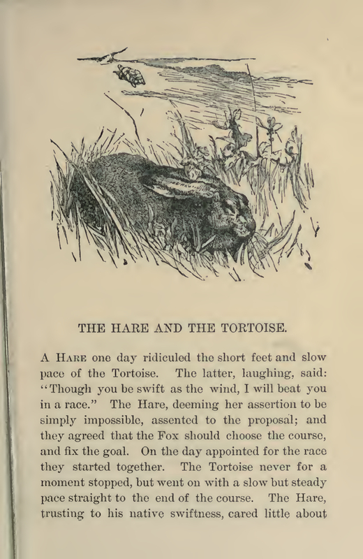 The Hare and the Tortoise
