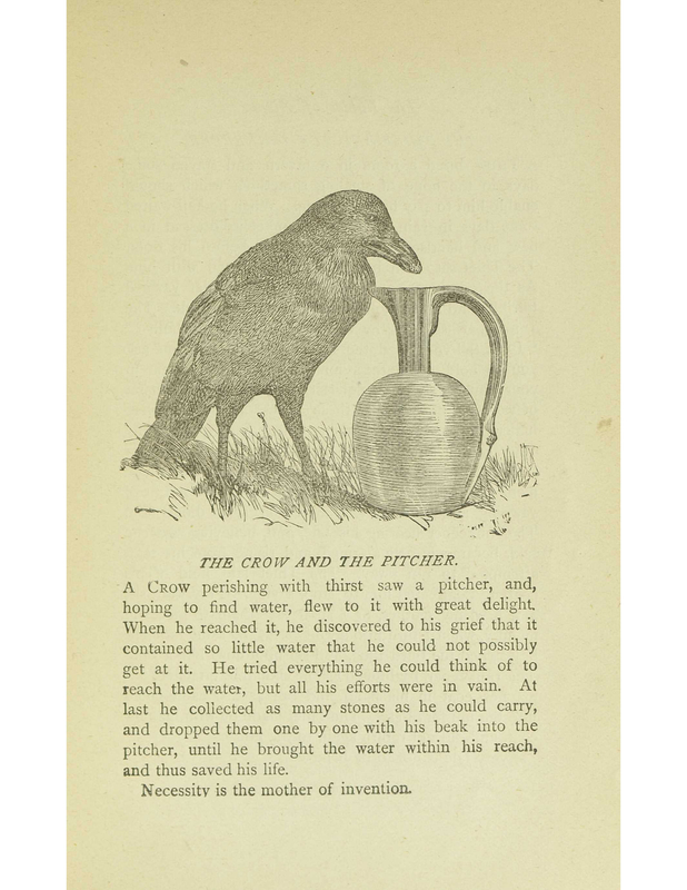 The Crow and the Pitcher