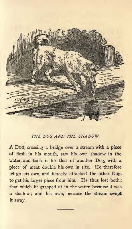 The Dog and the Shadow