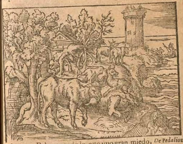 [A Wolf Ravages a Herd of Cattle]