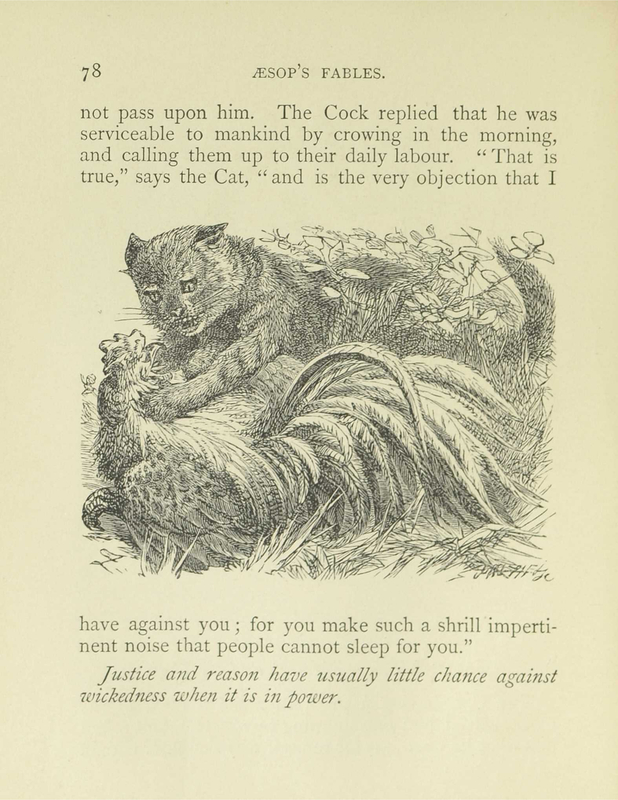 The Cat and the Cock