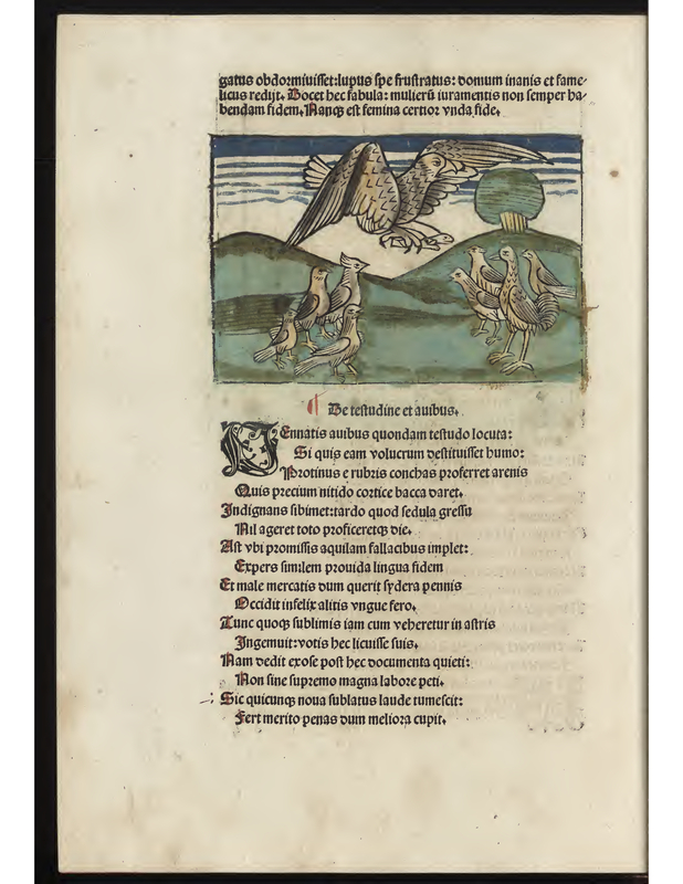 Die Schildkröte und die Vögel