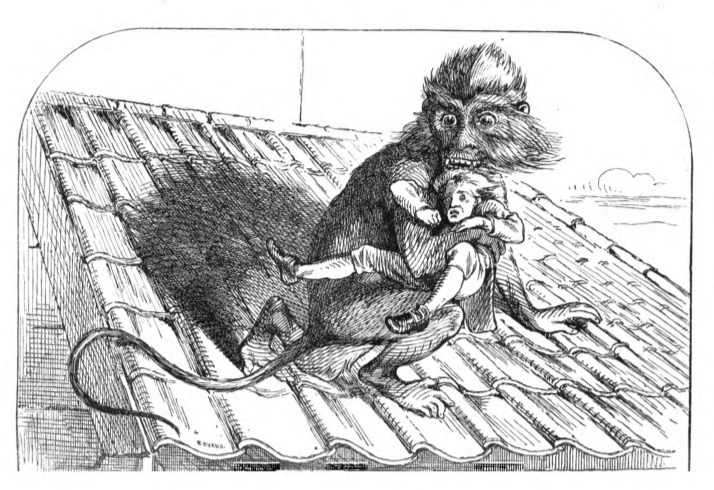 Escapade with a Monkey