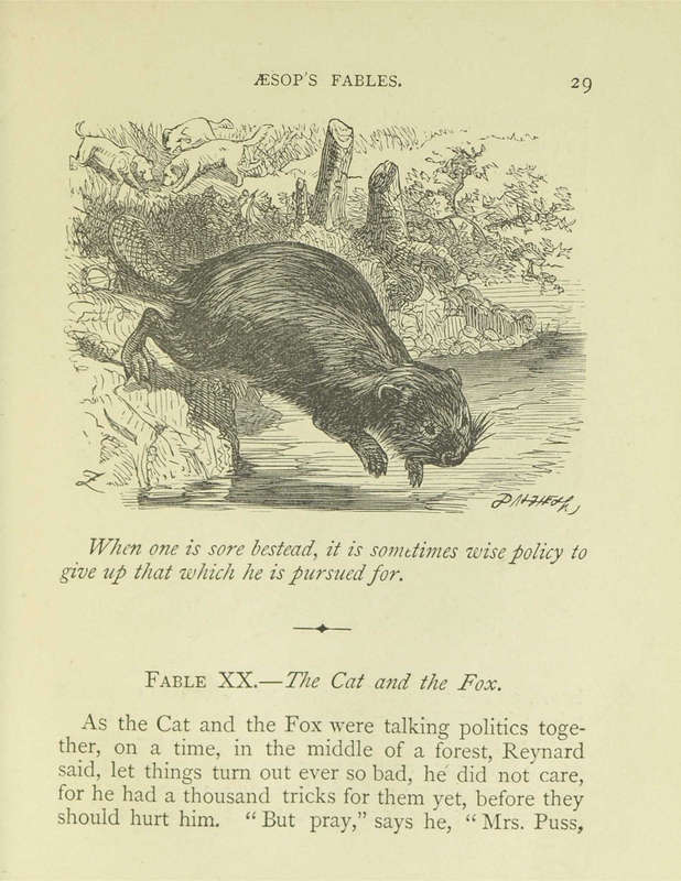 The Hunted Beaver