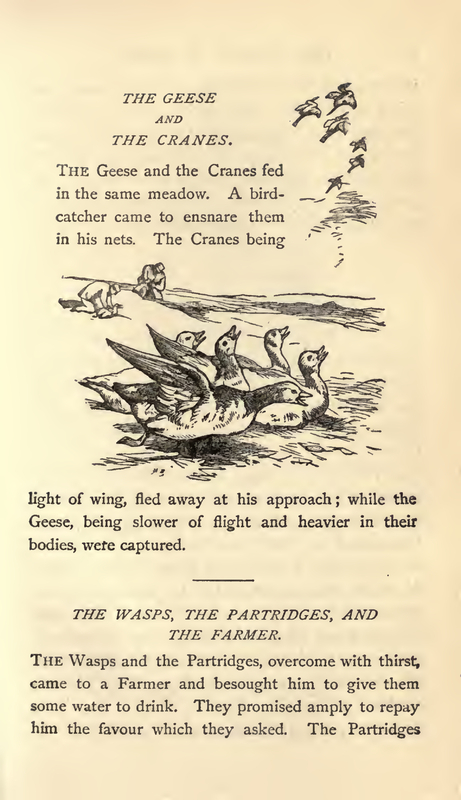 The Geese and the Cranes