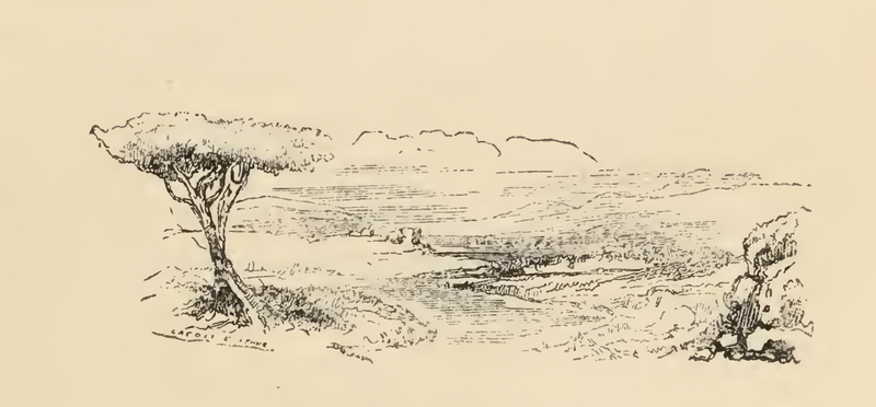 [The Banks of the Famous River Ebro]