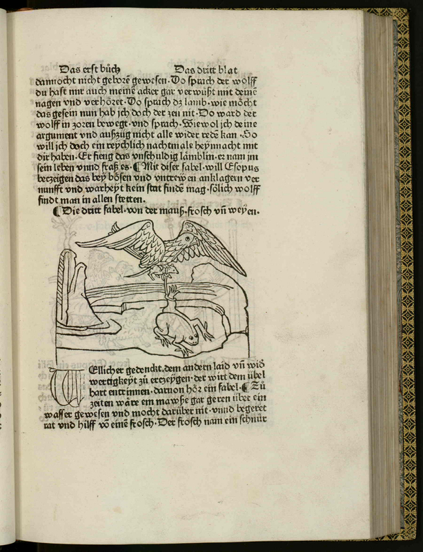 [Bird Grasping a Mouse Tethered to a Frog]