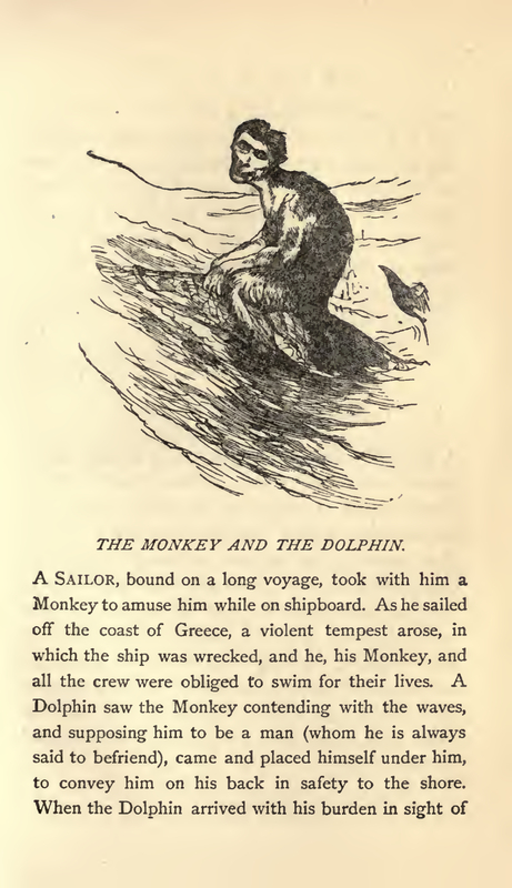The Monkey and the Dolphin