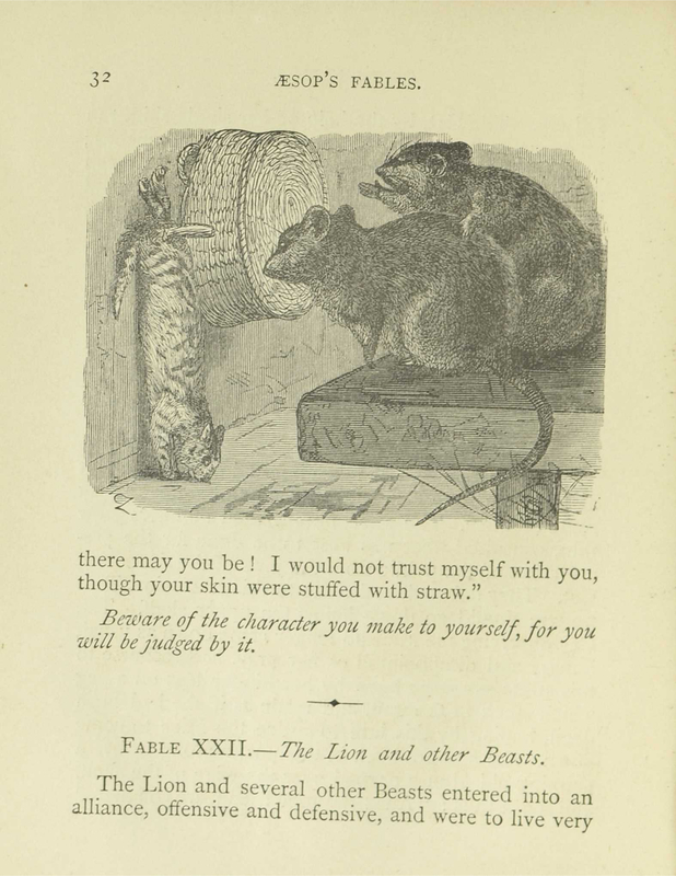 The Cat and The Fox