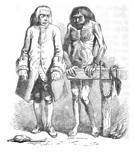 [Gulliver stands next to a yahoo on the Country of the Houyhnhnms]