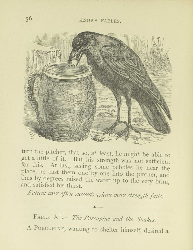 The Crow and the Pitcher
