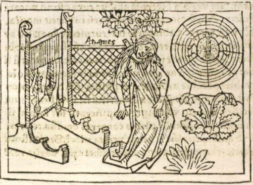 De Aragne colophonia muliere