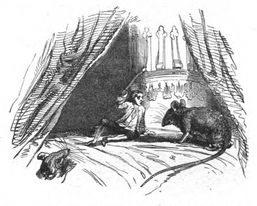 [a rat attacks Gulliver on Brobdingnag]
