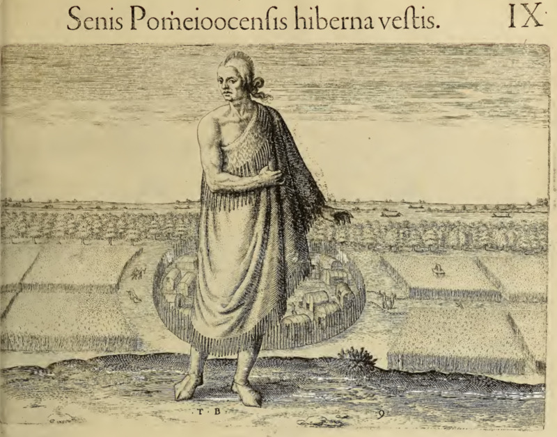 Senis Pomeioocensis hiberna vestis. IX.