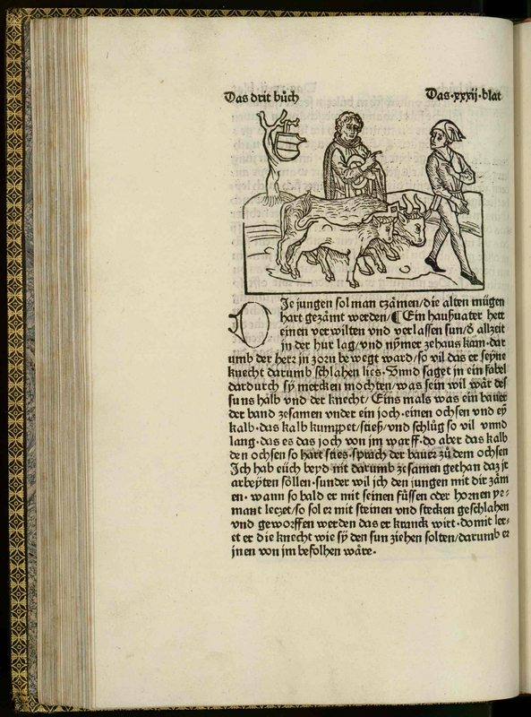 [The men and Goats]