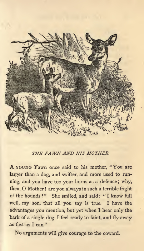 The Fawn and his Mother