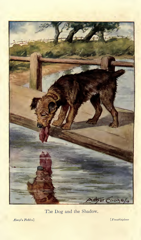 The Dog and the Shadow
