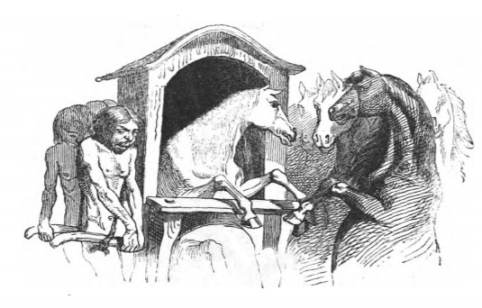 [a dying Houyhnhnm travels in a sedan chair]