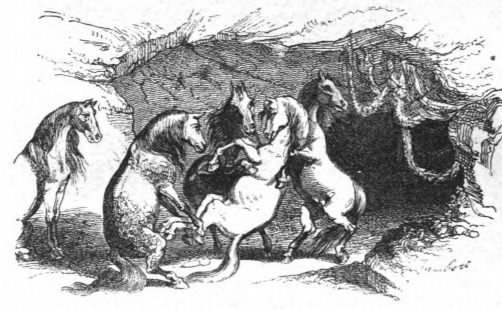 [the burial rites of the Houyhnhnms]