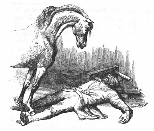 [Gulliver passes out after hearing he must leave the Country of the Houyhnhnms]