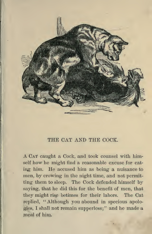 The Cat and the Cock